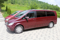 Mercedes Viano